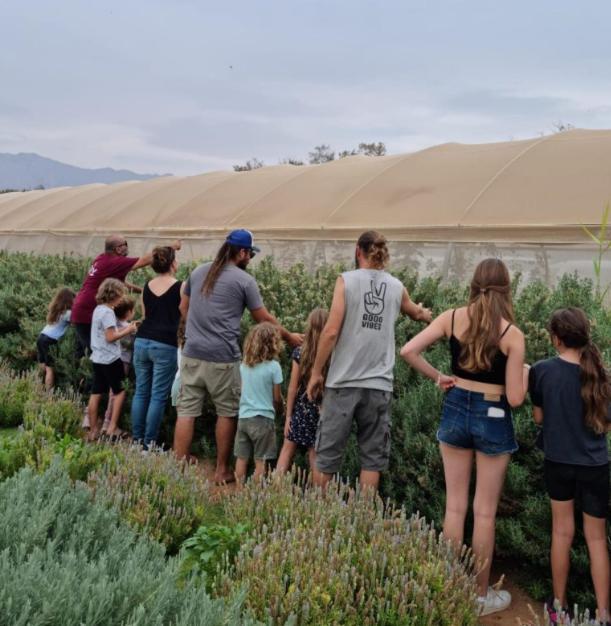 Elifaz Desert Experience Holiday Bagian luar foto