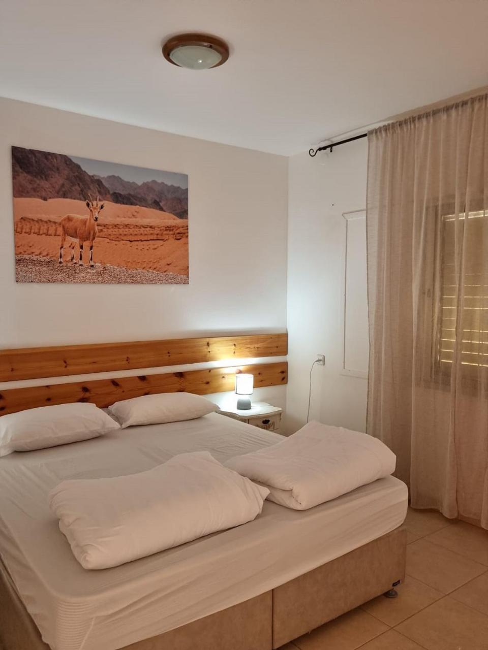 Elifaz Desert Experience Holiday Bagian luar foto