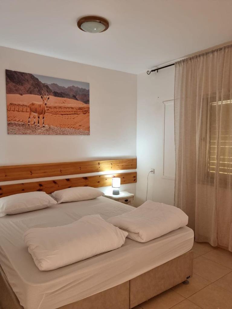 Elifaz Desert Experience Holiday Bagian luar foto