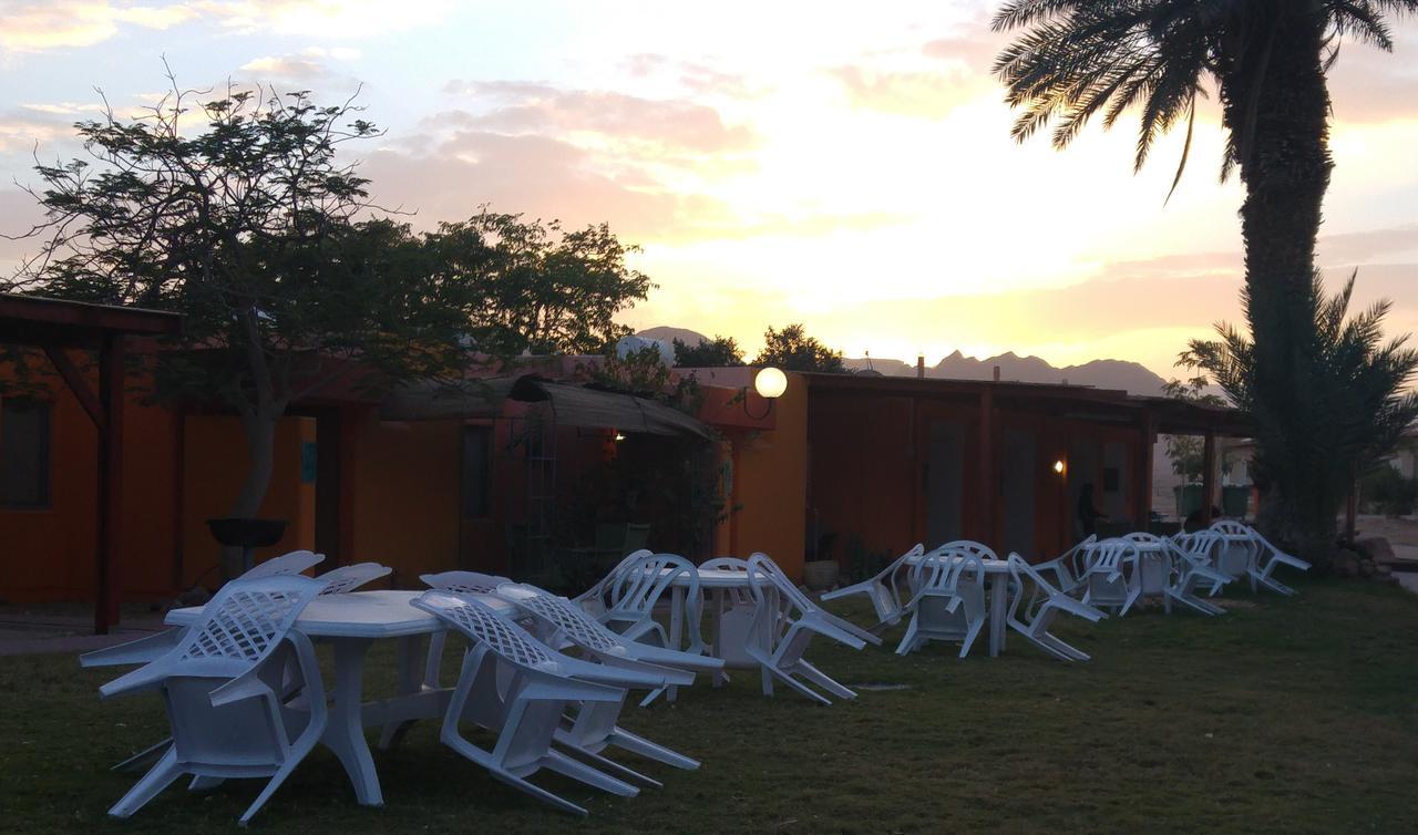 Elifaz Desert Experience Holiday Bagian luar foto